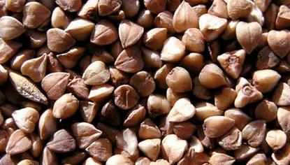 Porridge of buckwheat for weight loss